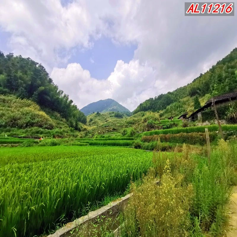 直背景布农村砖房田园户外网红主间装饰墙挂布