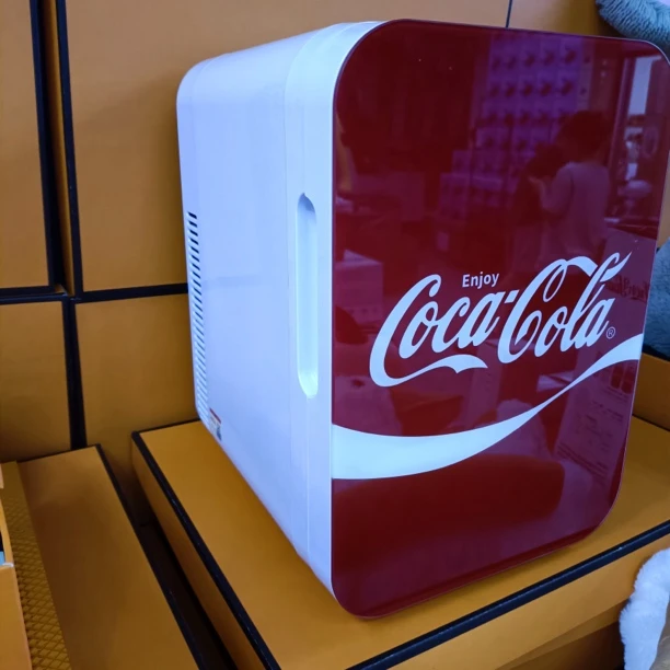 DYHW-59家用小型车载冰箱