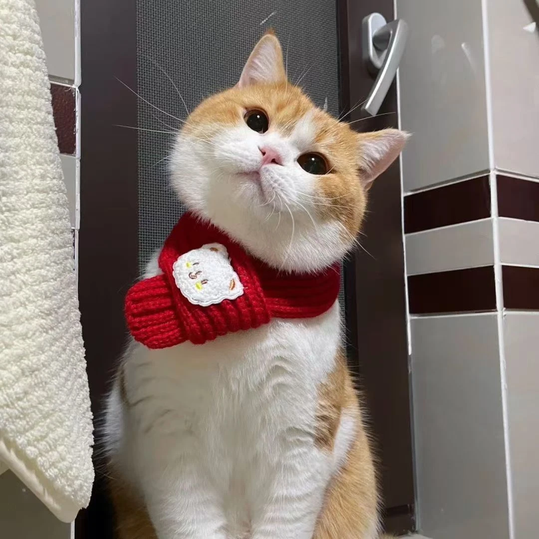 2024新年宠物围巾针织毛线保暖猫咪围兜小狗狗围脖加厚冬天柔软