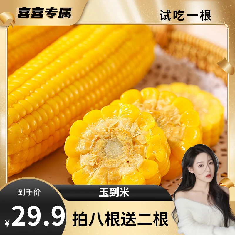 【喜喜专属】2023年玉到米吉林鲜食黄糯玉米 200g/根 非转软糯