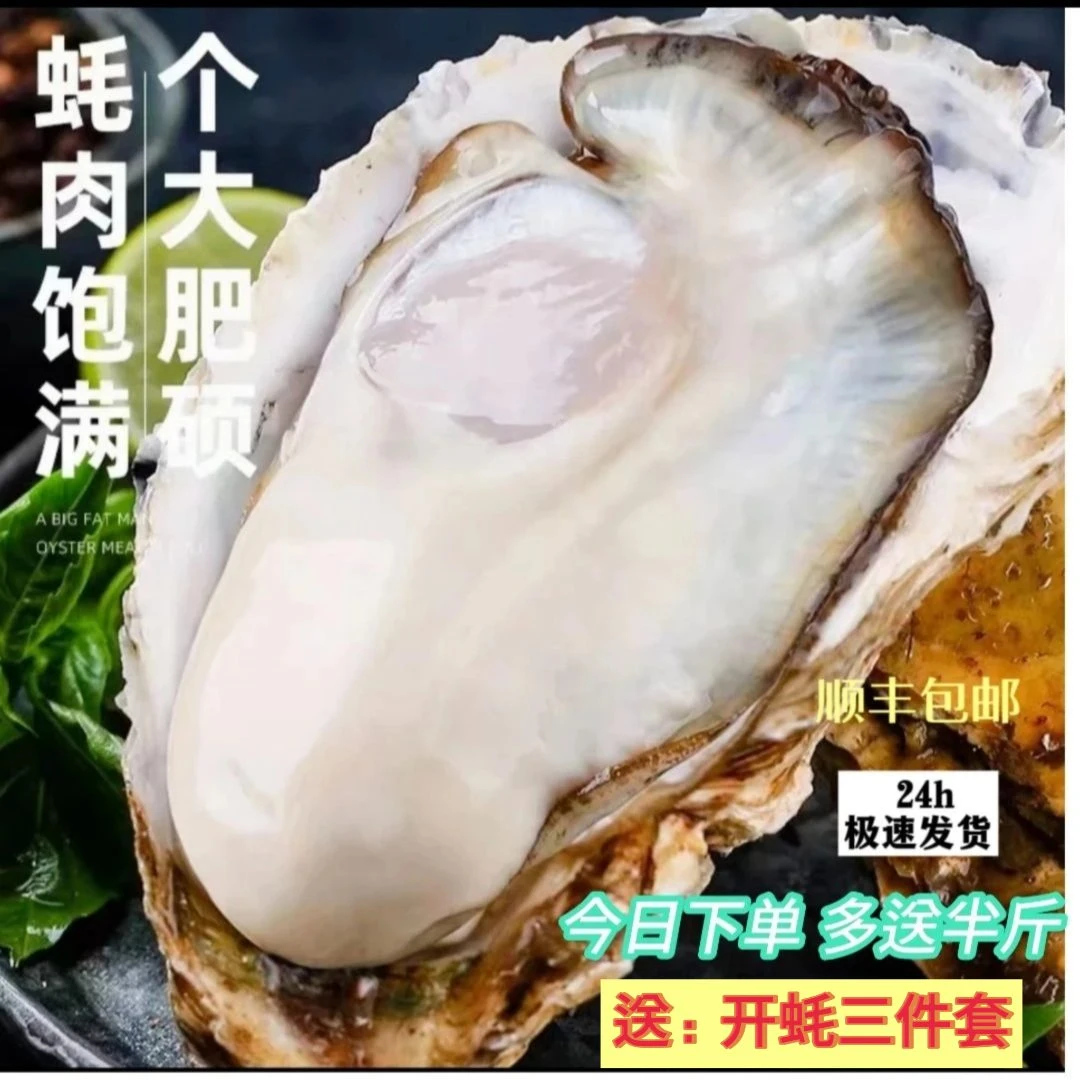 【冬冬海鲜】本地冷水海鲜 生蚝 顺丰包邮