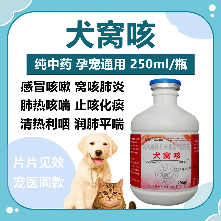 犬窝咳宠物专用猫狗感冒咳嗽肺炎支气管炎呼吸道感染流涕腹泻