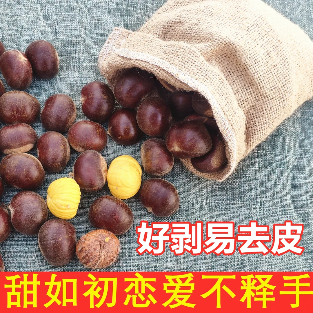 （直播专属）2024年云南高山水源保护地老树板栗毛栗子，无污染产品