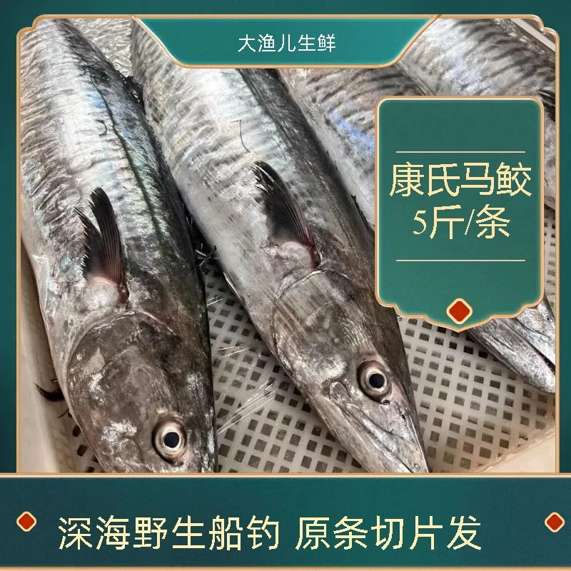 5斤正宗康氏马鲛鱼切片发货海鲜新鲜鲜活速冻深海捕捞