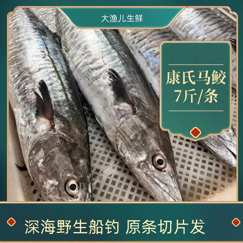 7斤正宗康氏马鲛鱼切片发货海鲜新鲜鲜活速冻深海捕捞
