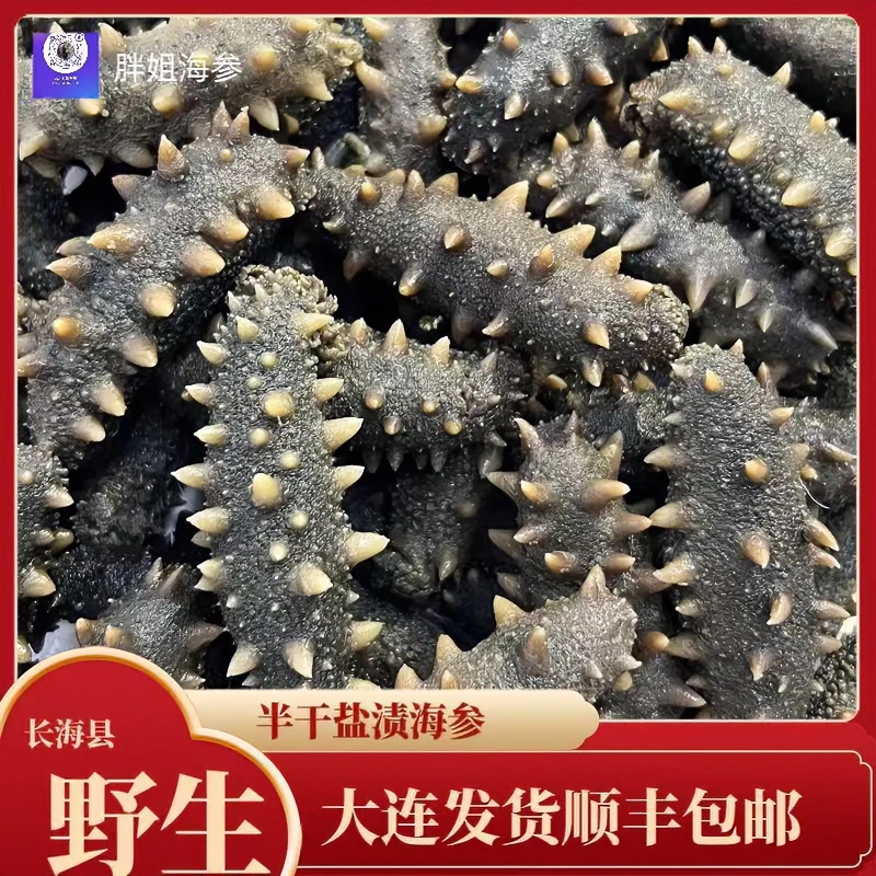 大连长海县野生半干海参 （28-32）500g 顺丰包邮冷冻