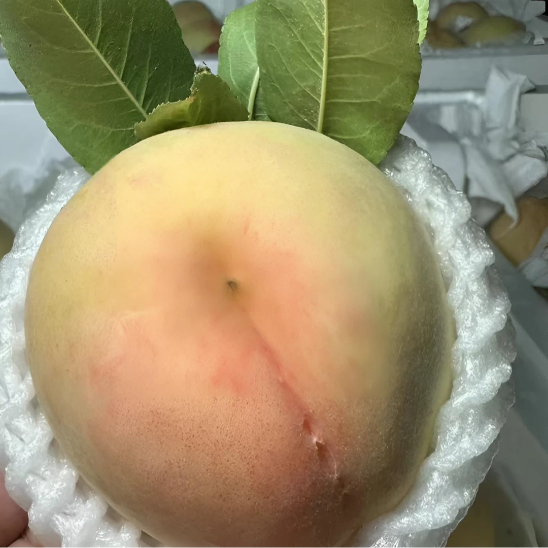 大排优选  水蜜桃水分多香甜可口