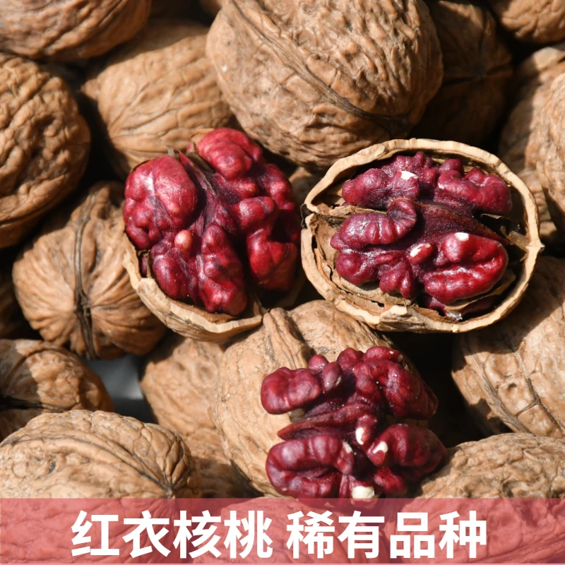 【稀有品种】云南红衣核桃野生薄皮净重500g干核桃营养