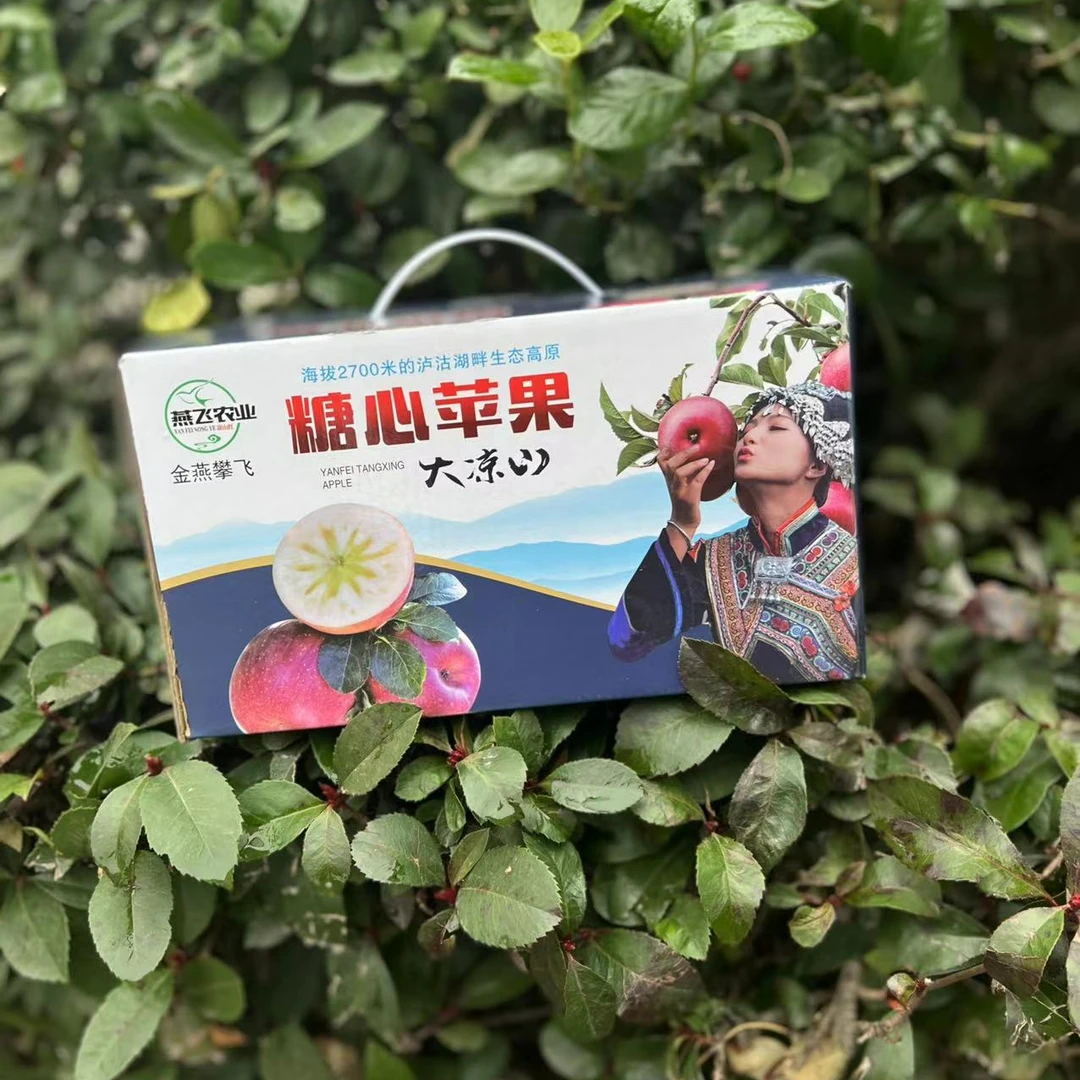 【配送到家】大凉山野生苹果一箱4斤左右