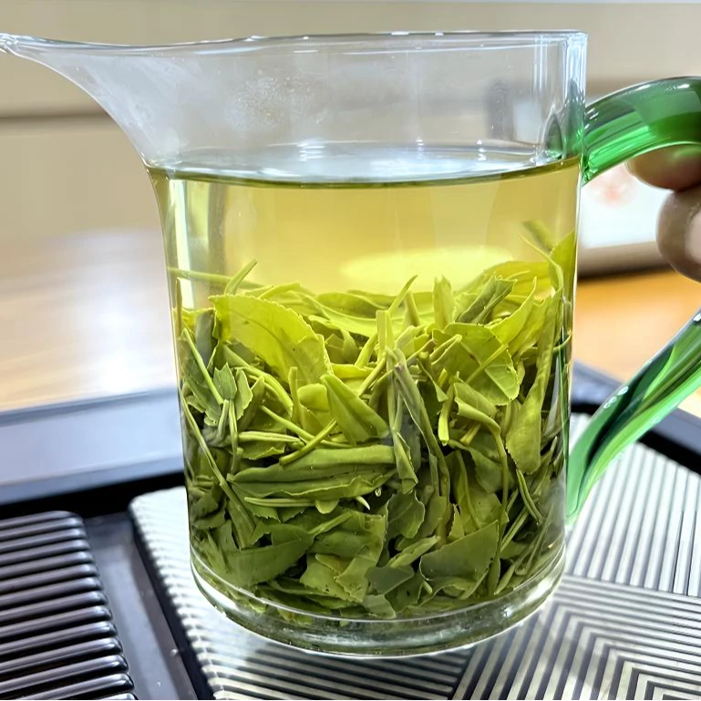 【谷雨时节大叶口粮茶】2025信阳毛尖谷雨袋装春茶自产自销绿茶