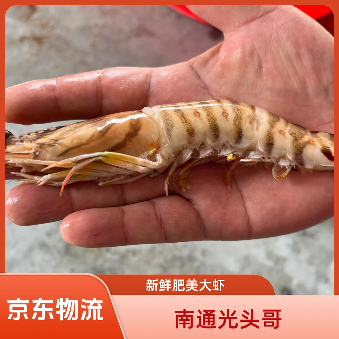 吕四斑节虾3斤装