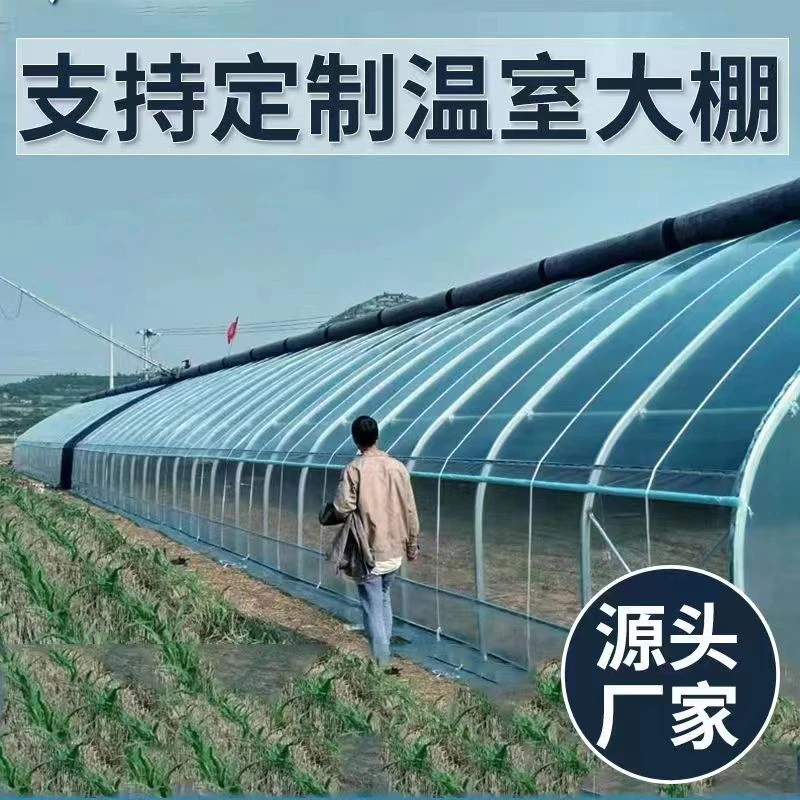 玻璃温室大棚厂家温室椭圆管养殖大棚全套连栋保温大棚半坡棚
