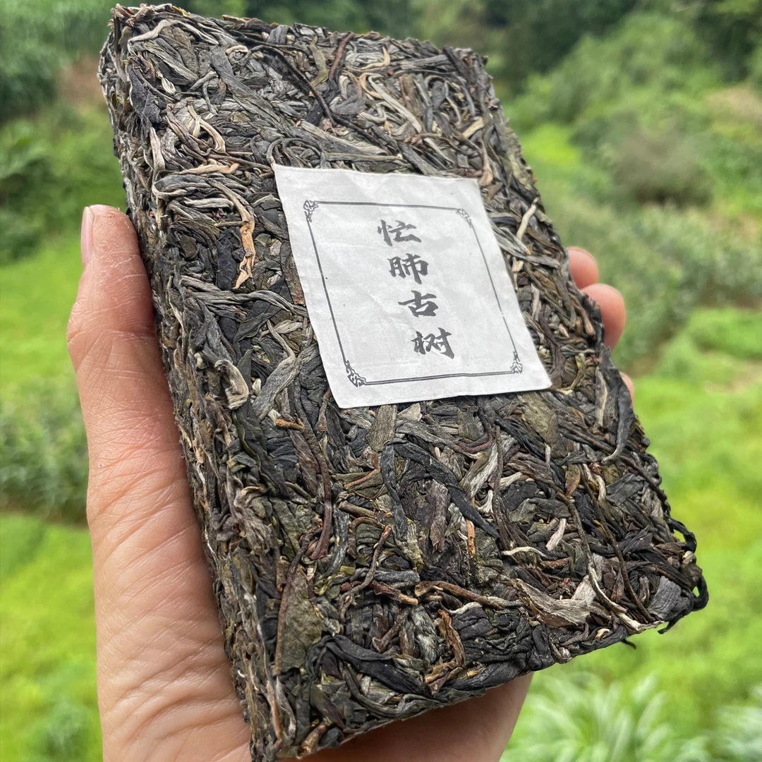 忙肺古树春清香山野普洱茶普洱紧压生茶250g