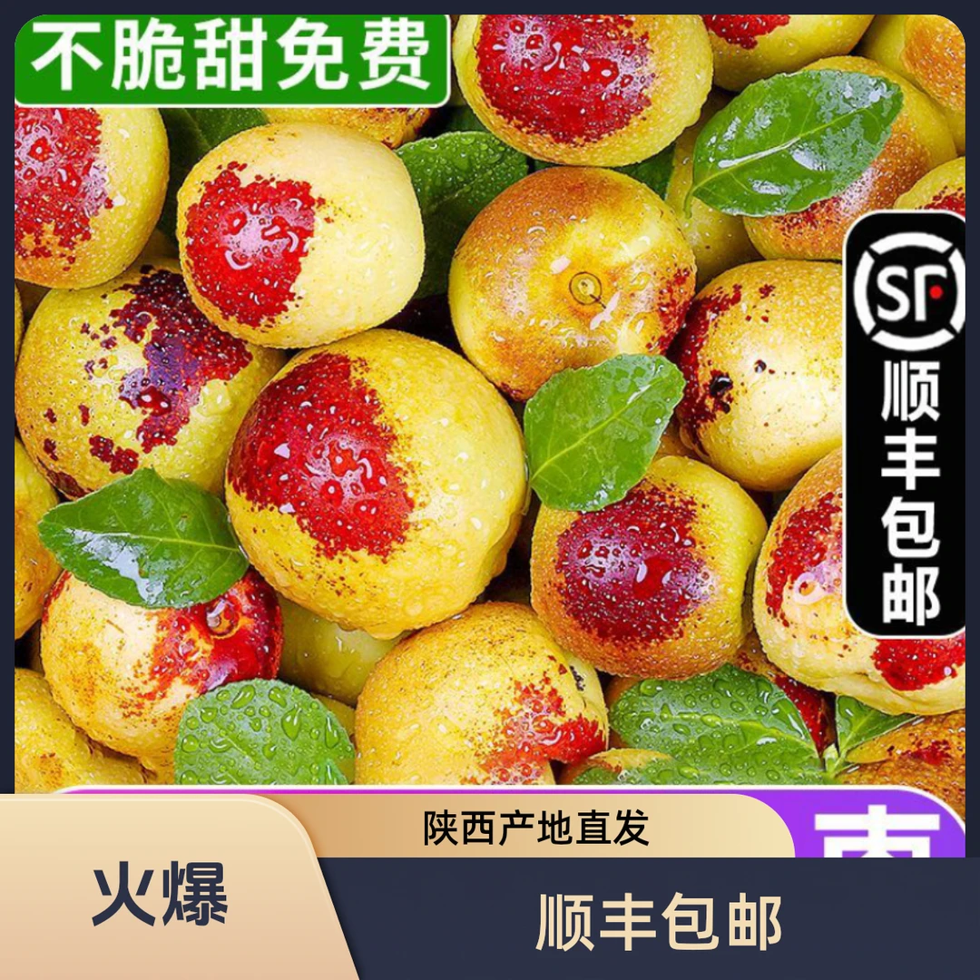 【顺丰包邮】陕西大荔冬枣新鲜水果爆甜脆枣鲜枣青红栆陕西产地直发