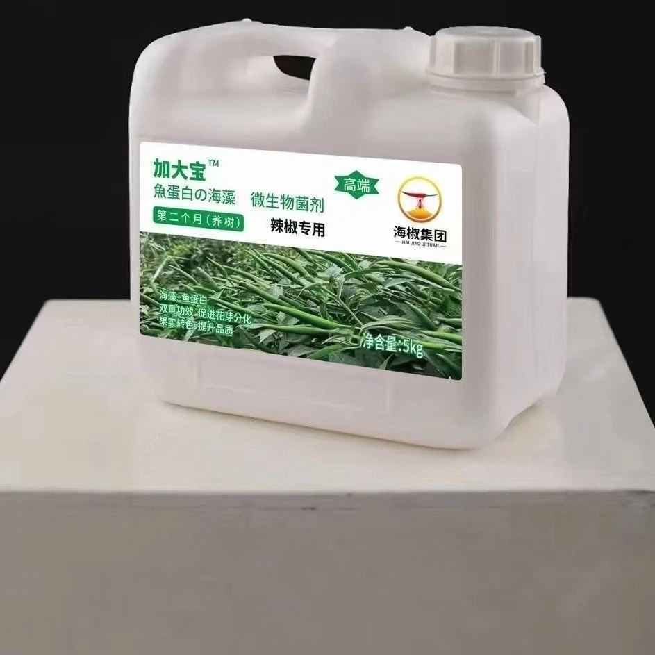 第二期加大宝/海椒集团辣椒专用水溶肥/生根剂/肥料化肥/养树提苗