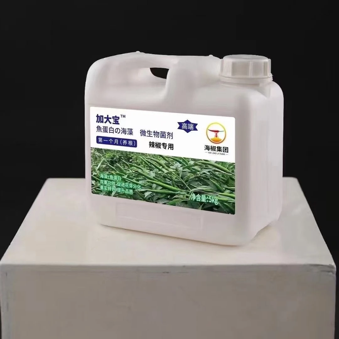 第一期加大宝/海椒集团辣椒专用水溶肥/生根剂/肥料化肥/养根生根