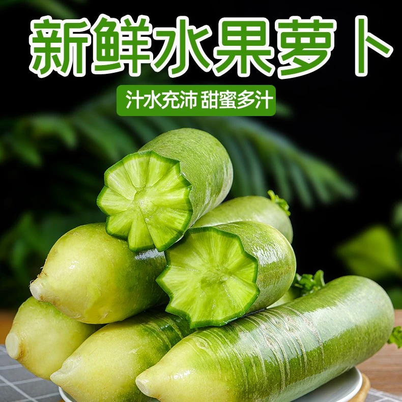 水果萝卜5斤包邮 脆甜的水果型萝卜青沙窝萝卜新鲜生吃