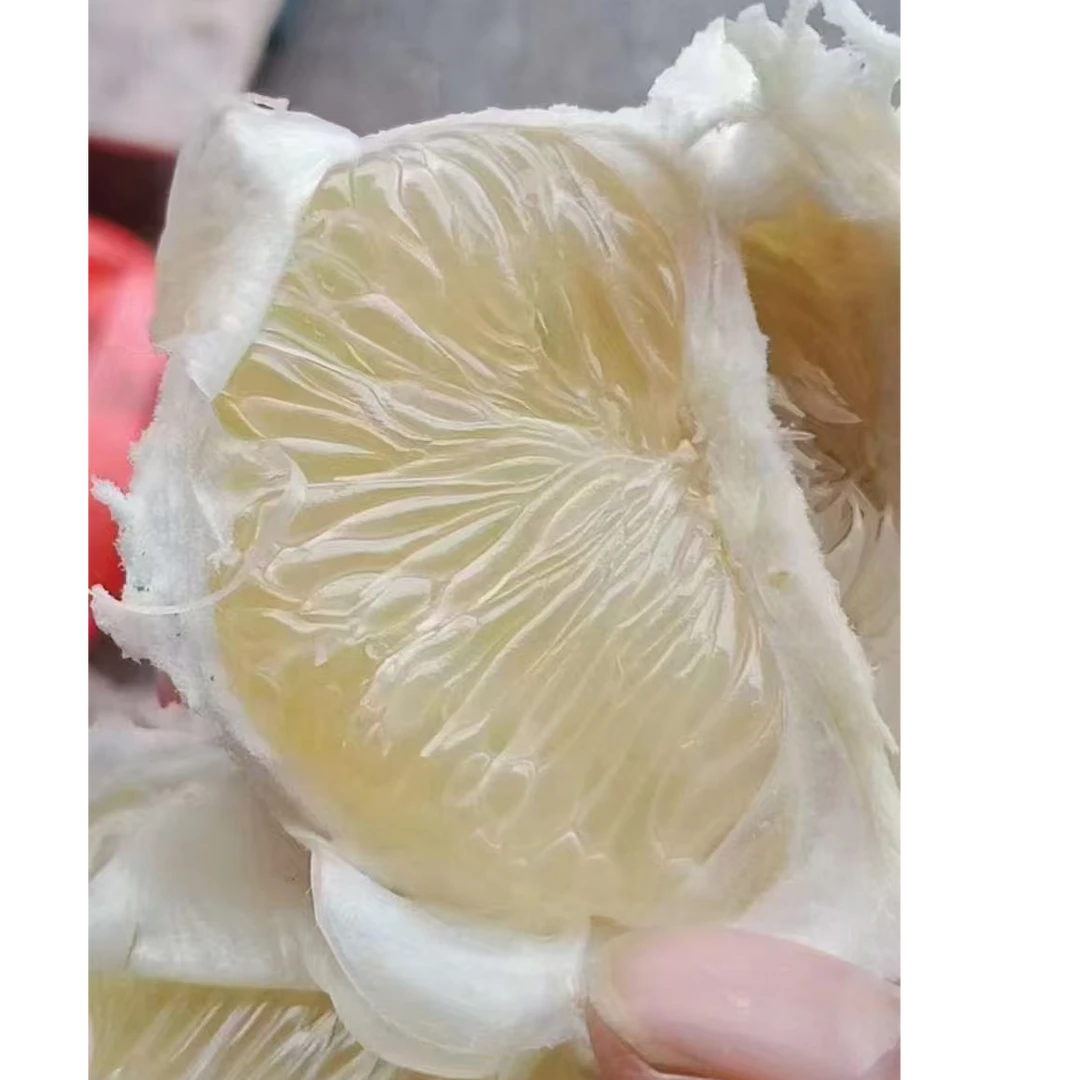 江西安福蚕子萍乡蚕子金兰柚