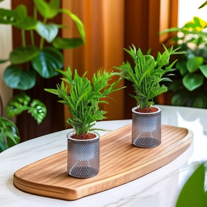 【买一送一】水培袖珍椰子办公室盆栽绿植土培四季常青净化空气植物