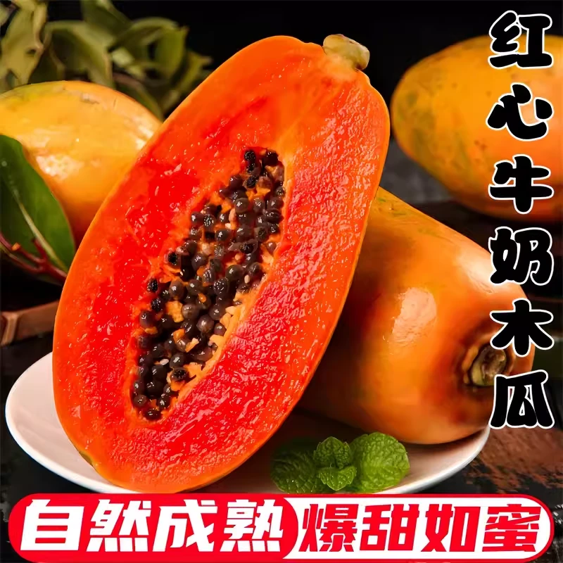 云南【超级补贴】冰糖心牛奶木瓜超甜红心木瓜树上熟整箱大果批发