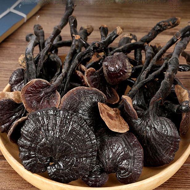 【竹灵芝】精选广西十万大山野生竹灵芝煮水煲汤养生