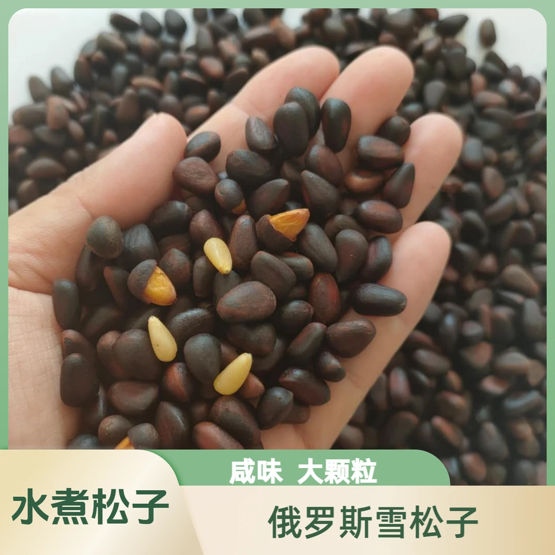 大兴安岭咸味水煮松子雪松子东北盐水煮松子大颗粒追剧休闲