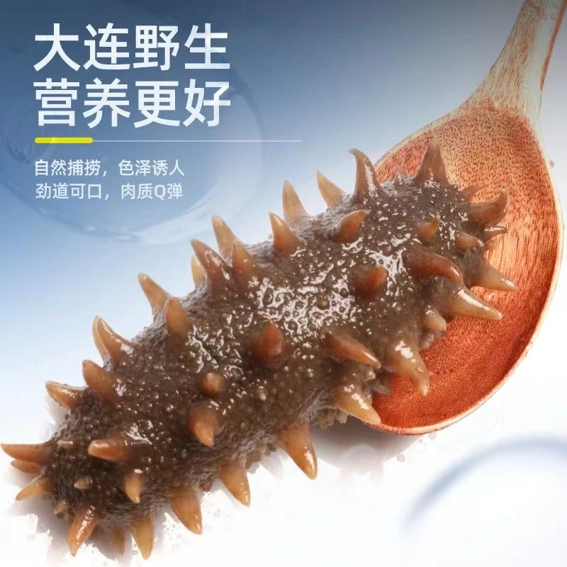 鲜食高品质海参正宗辽参野生海参大连辽刺参新鲜开袋鲜食 礼盒装