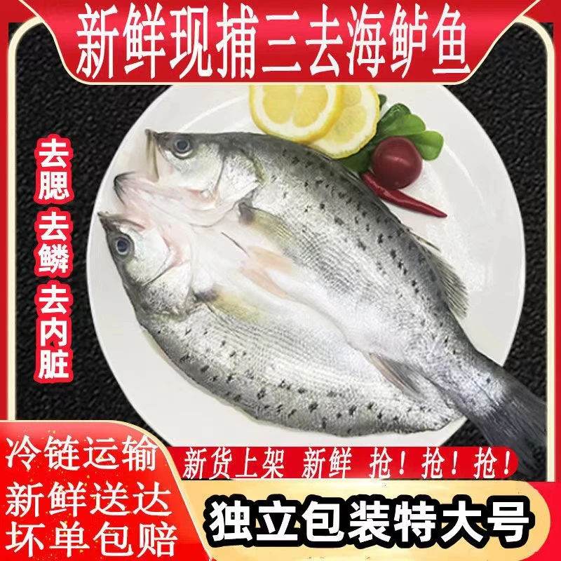 开背海鲈鱼400~500克左右/条去鳞去腮去内脏