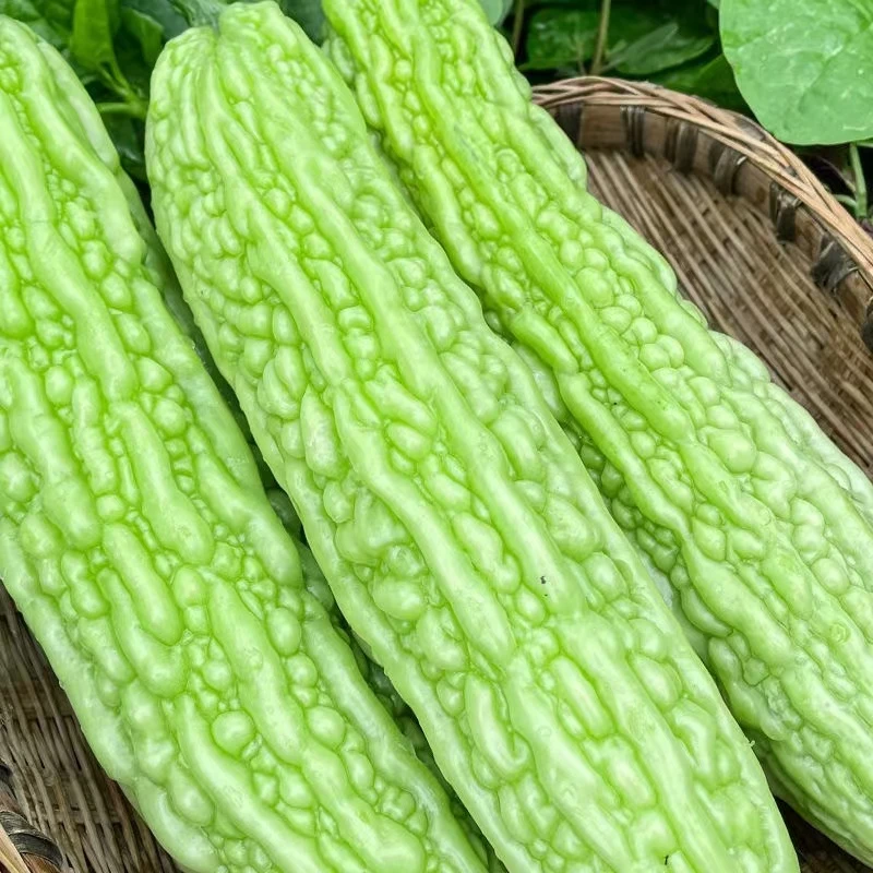 苦瓜 500g±50g/份