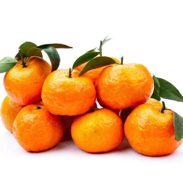 砂糖橘1000g±50g