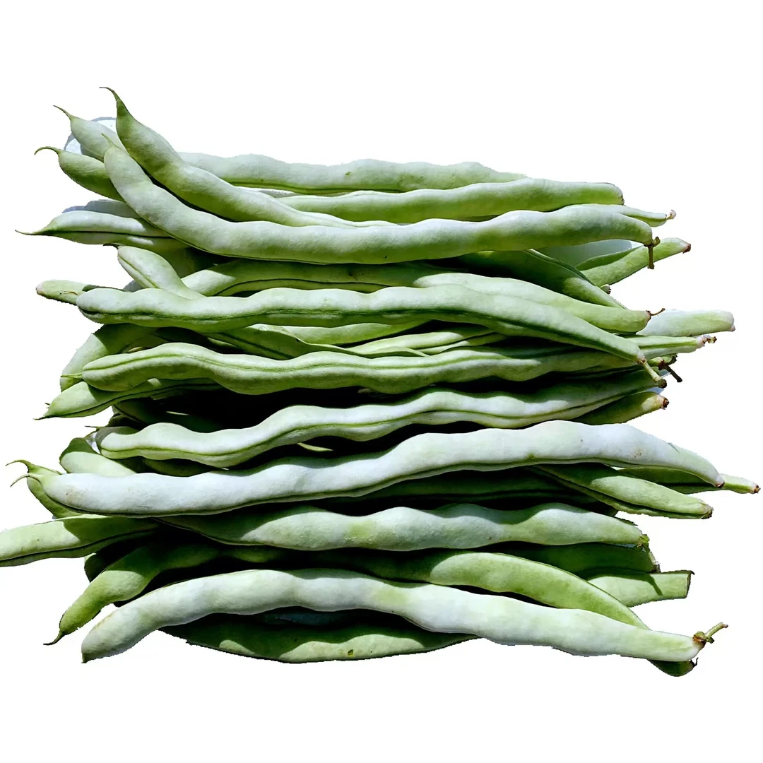 青肉豆500克±50g/份