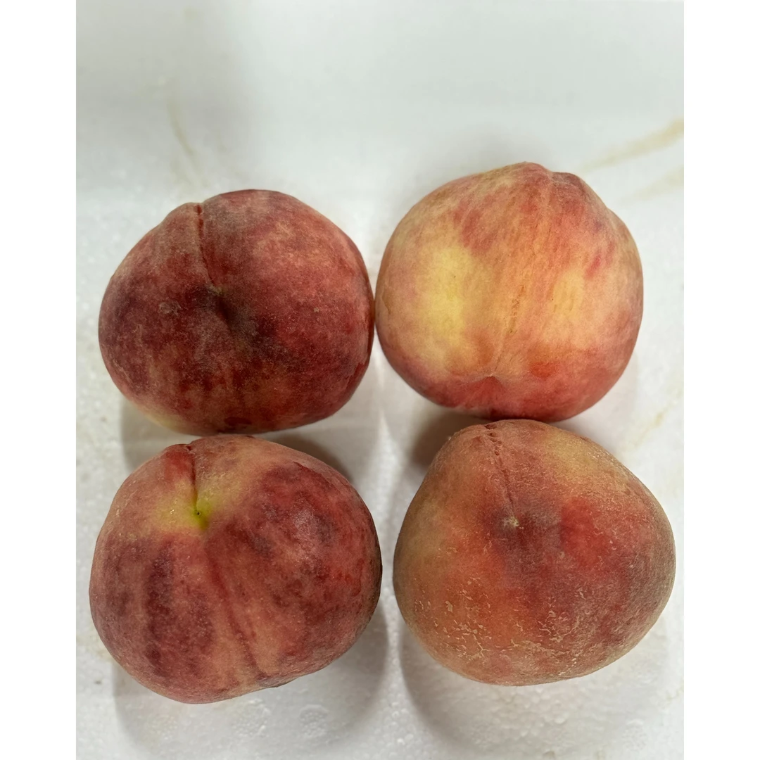 红脆桃10元/4个 1300g-1400g左右