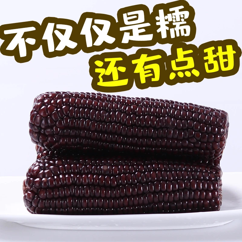 宝宝糯10只 怕小勿拍 2023年新玉米东北花青素黑甜糯玉米 1800克