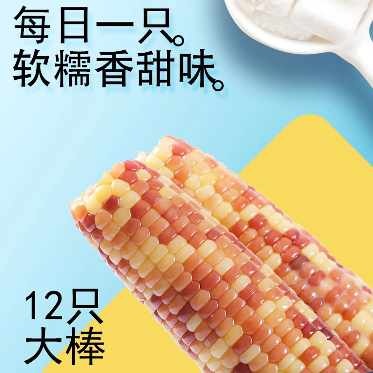 【大棒12只7斤2两】花玉米12只3600g甜糯嫩 东北花糯均重280g