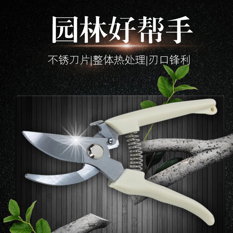 园艺剪枝剪刀修枝剪果树不锈钢锋利耐用园林花艺剪子工具园艺神器