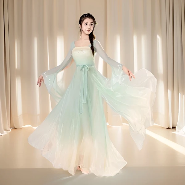 古典舞舞蹈服装身韵纱衣中国舞飘逸练功服演出服装女连衣裙大摆裙
