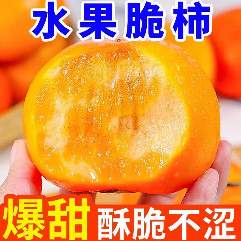 阳丰巧克力脆柿子当季新鲜水果大果黄硬甜脆削皮现货现摘现发柿子