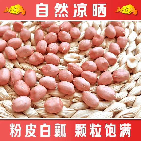 (净重1斤包邮当天发)今年新鲜大白沙花生米生花生仁优质产品花生