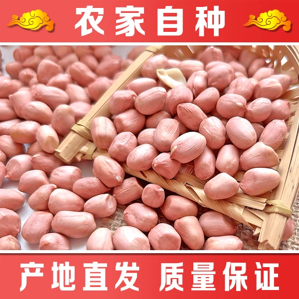 （净重1.9斤包邮当天发）今年新鲜大白沙花生米生花生仁优质农产品