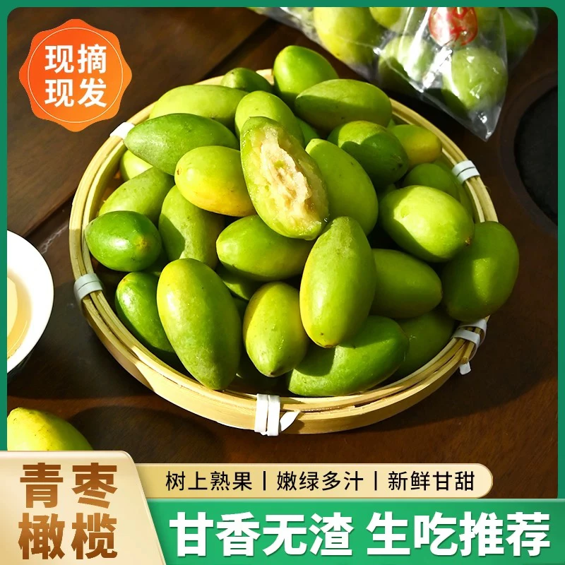 潮汕金灶本地青枣脆橄榄 生吃煲汤 榨汁 生吃 两斤装