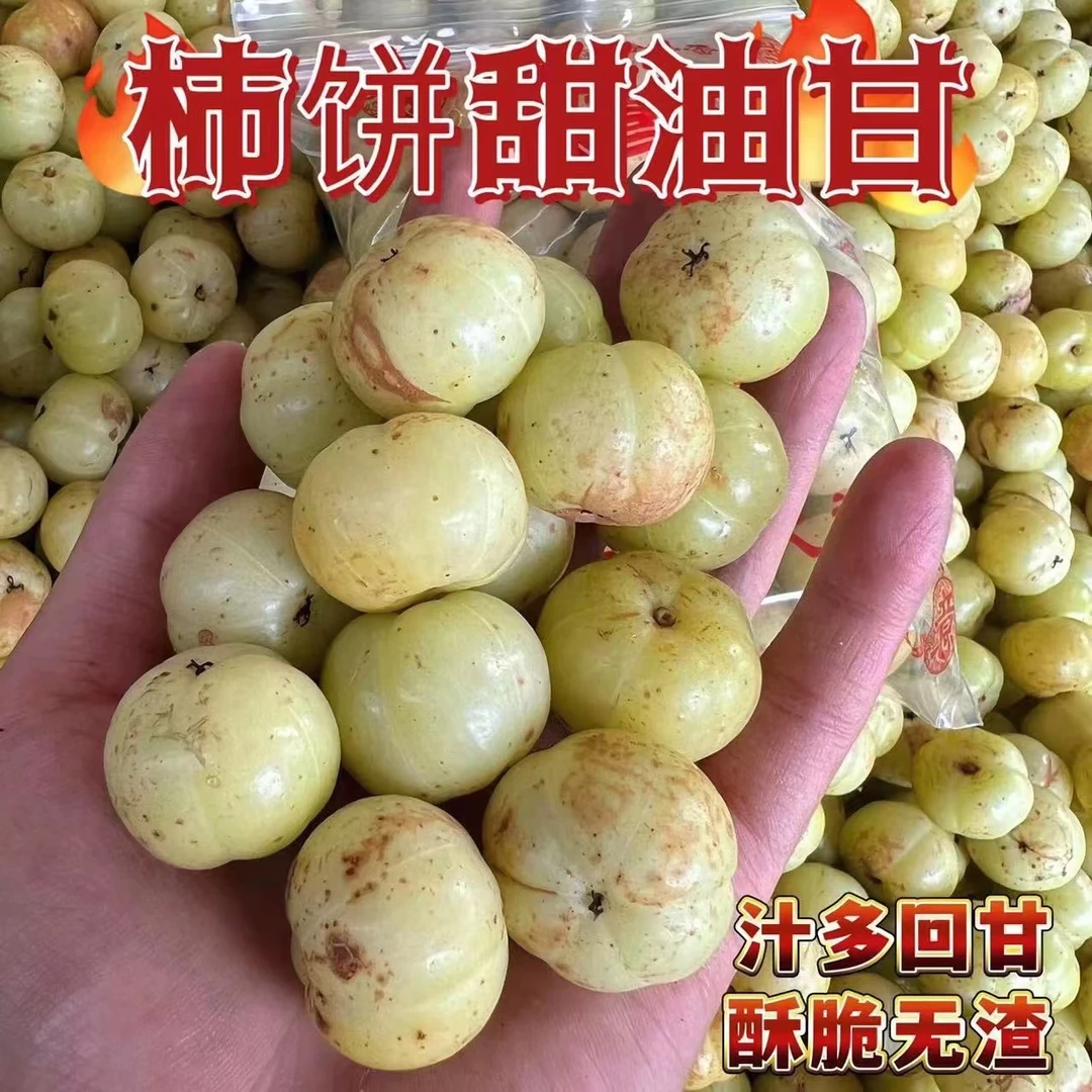 潮汕金灶饼甜油甘果 生吃回甘煲汤清甜榨汁回味 两斤装