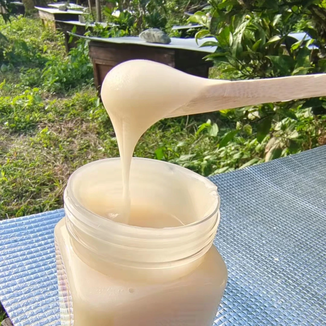 白玉枇杷蜜冬蜜500g/瓶咳嗽女性男性适宜优质浓郁过滤赠送试吃
