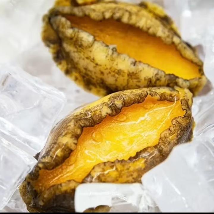鲍鱼肉新鲜去壳4头鲍手剥纯肉12颗左右520-540g之间一包