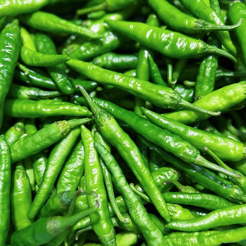 正宗新鲜椒薄皮辣椒樟树品种嫩辣农家直供