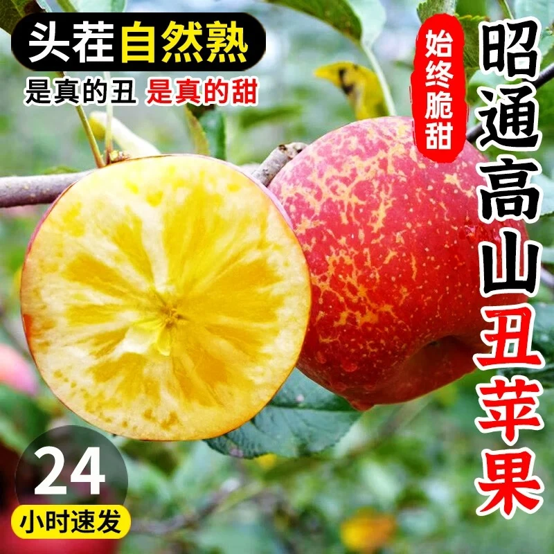 【粉丝专享】2024年新鲜昭通苹果水果冰糖心脆甜多汁红露丑苹果