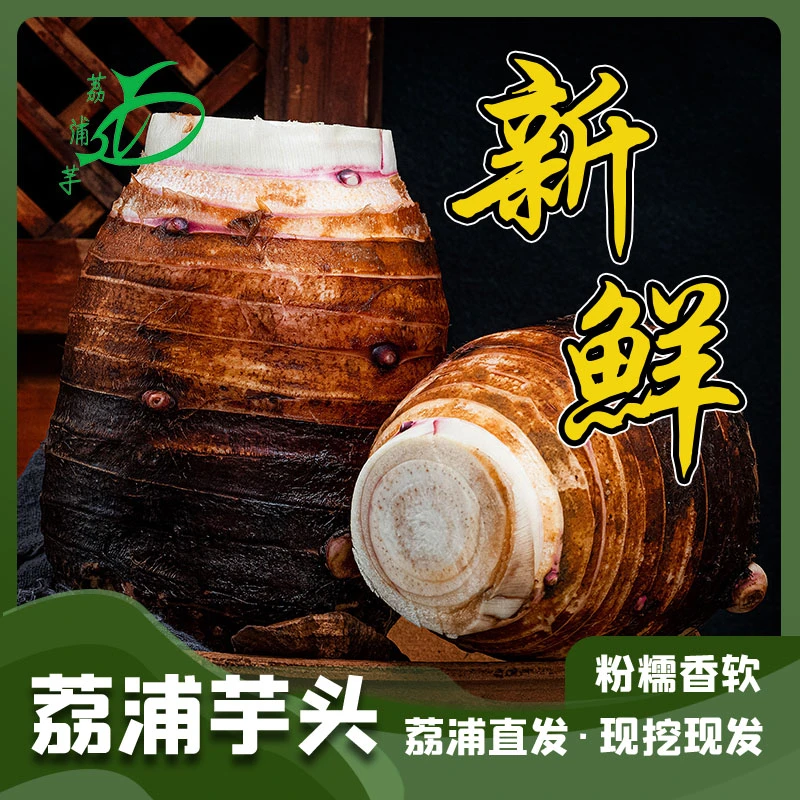 芋桂堂正宗荔浦芋头香糯好吃 2025年新芋头 坏果包赔 3斤/5斤/9斤