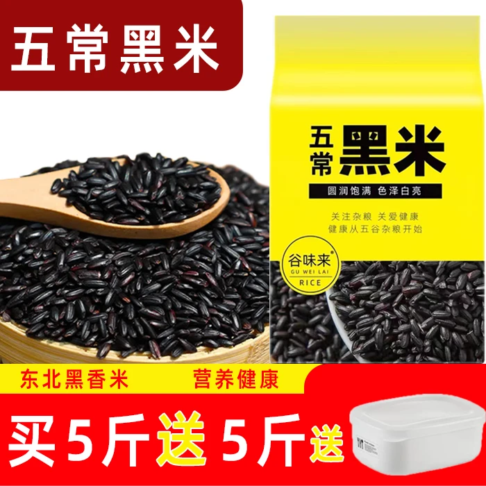 【买一送一】2025年五常黑米5斤装 黑龙江农家东北黑米黑米粥食用黑