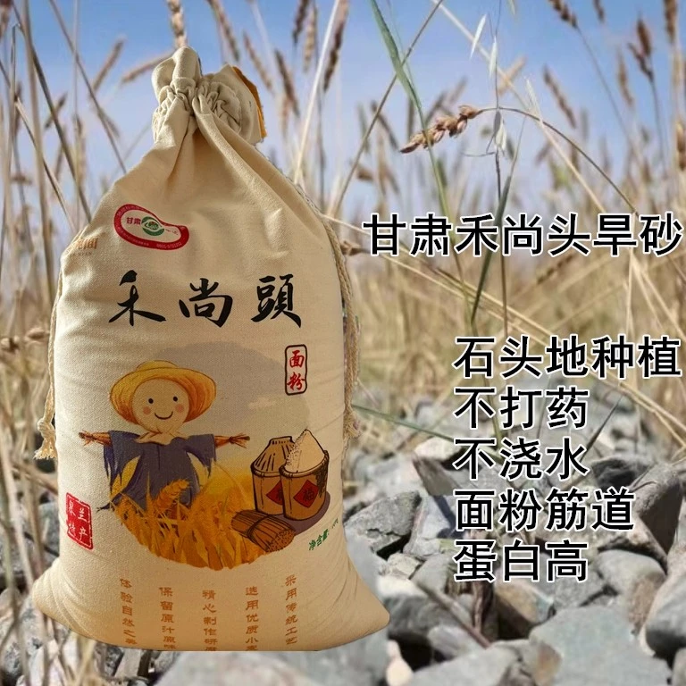 【纯正禾尚头面粉】旱砂地种植不打药不浇水劲道面粉5斤