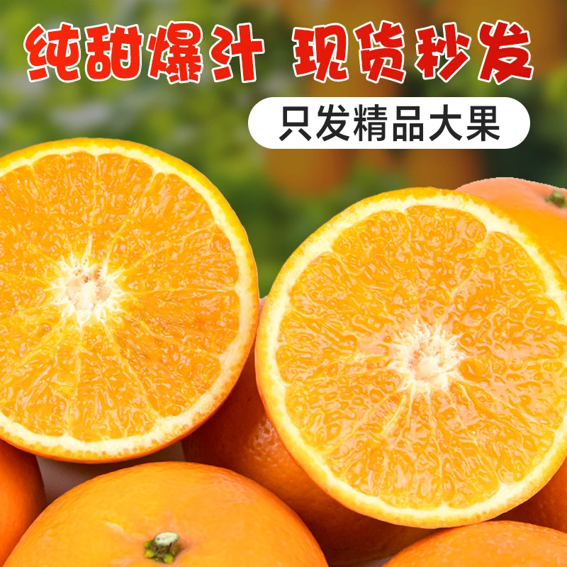 广西正宗武鸣沃柑爱媛新鲜香甜多汁5斤-9斤中果现摘现发包邮