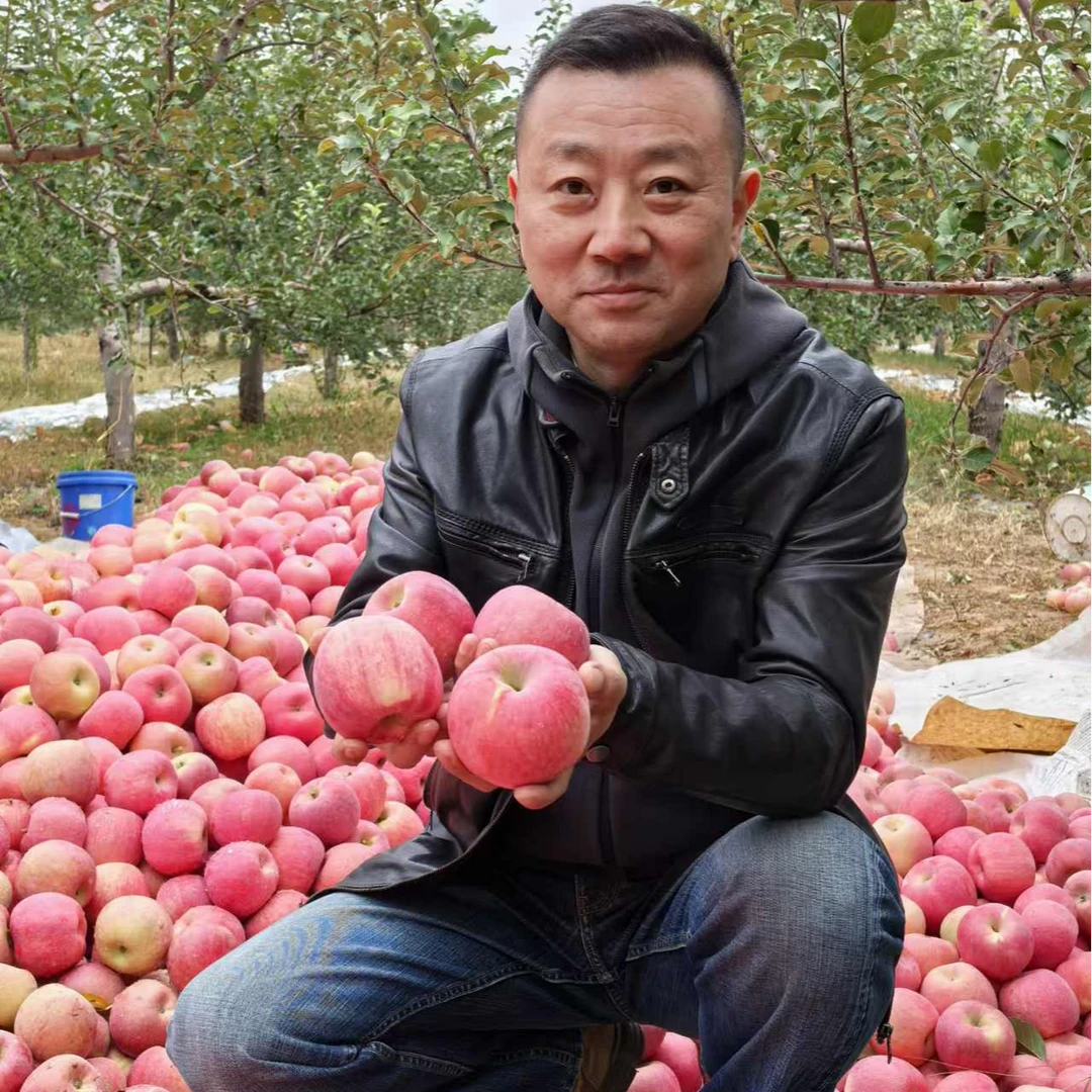 【2025晚富士老纪甄选陕北靖边龙洲苹果】80mm现摘现发每箱24个包邮